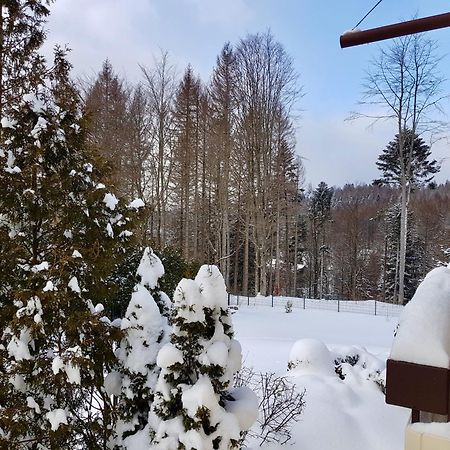Harzbutze 60 Apartment Санкт Андреасберг Екстериор снимка